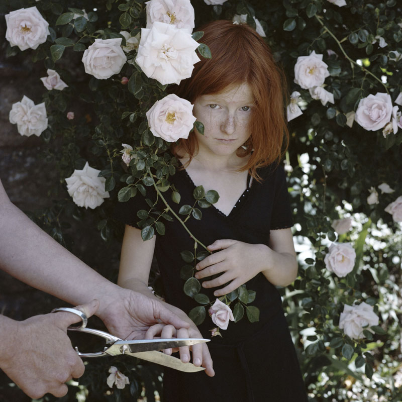 Alexa Brunet, Rosiers ciseaux